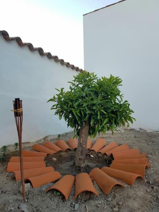 Vila Casa Da Enxota Povoa de Sao Miguel Exteriér fotografie